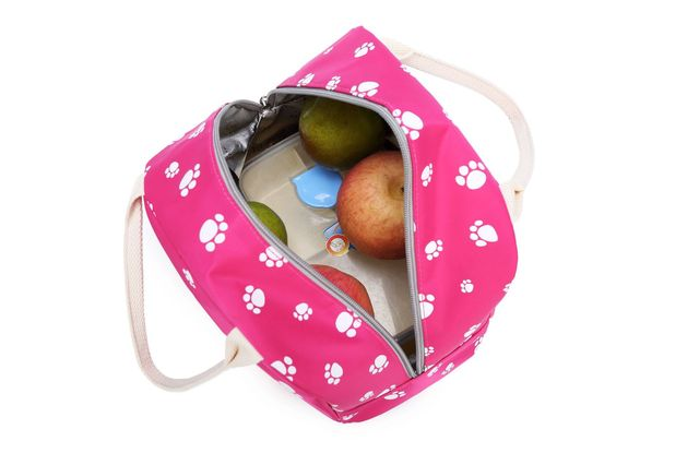 School Backpack Set